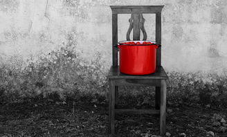 中国女子新西兰失踪一年后遗体被找到,跨越千里的哀思与真相 中国女子新西兰失踪一年后遗体被找到,跨越千里的哀思与真相