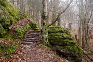 探索智慧的宝库,中国传统文化答题库的魅力与应用 探索智慧的宝库,中国传统文化答题库的魅力与应用