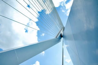 探索健康大视野,以全面视角理解生命与健康的现代启示 探索健康大视野,以全面视角理解生命与健康的现代启示