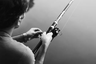 探索鉴黄师，职业的边界与伦理挑战