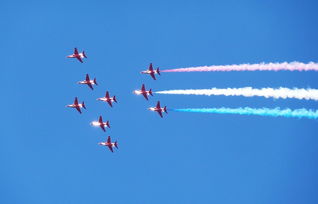 客机飞行中发现老鼠,紧急备降兰州,一场公共卫生安全的考验 客机飞行中发现老鼠,紧急备降兰州,一场公共卫生安全的考验