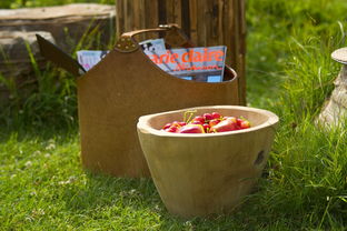 饮食与健康,探索杂志引领的健康饮食新风尚 饮食与健康,探索杂志引领的健康饮食新风尚