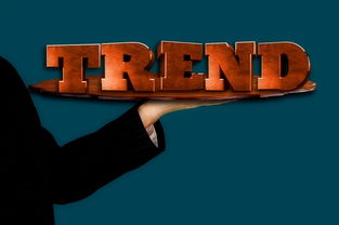 引领商业潮流，深度解析企业家杂志的影响力与价值