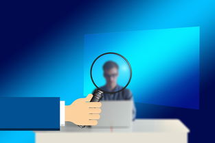 福建论坛大全,探索网络文化与区域交流的窗口 福建论坛大全,探索网络文化与区域交流的窗口