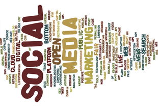 中国油脂网,引领油脂行业变革的创新引擎 中国油脂网,引领油脂行业变革的创新引擎