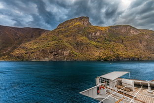 揭秘步步高家教机S6，价格与教育价值的深度剖析