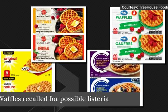 教条主义与经验主义，思想的枷锁与实践的灯塔