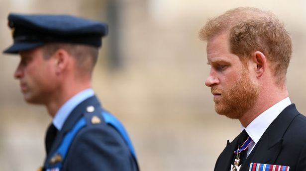 哈里王子在被“驱逐”后将愤怒集中在两名王室成员身上