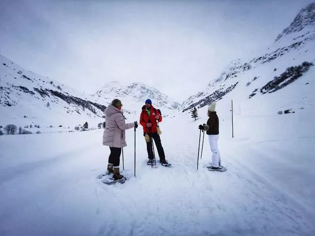 武汉一幼儿园上课70%时间在巡山,探索自然教育的独特魅力 武汉一幼儿园上课70%时间在巡山,探索自然教育的独特魅力