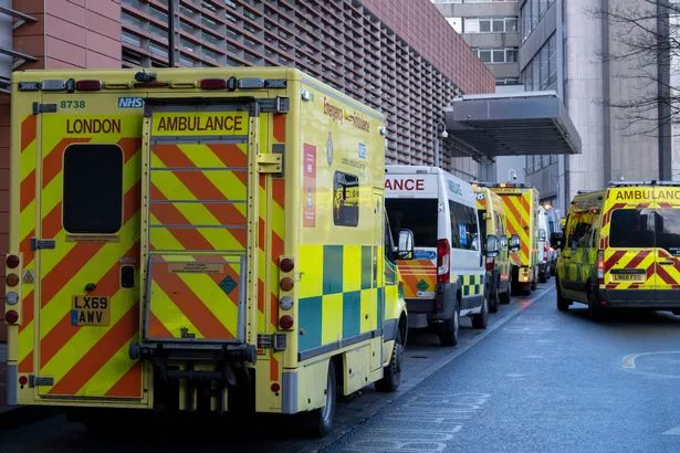 Unlocking Medical Insights:The Vital Role of Clinical Experience in English Unlocking Medical Insights:The Vital Role of Clinical Experience in English