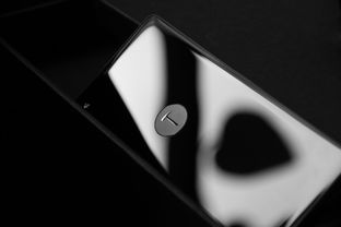 揭秘Vivo X20，价格与性能的完美邂逅