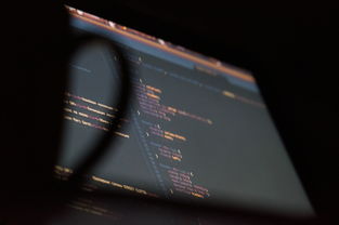 明智之选揭秘性价比之王，引领日常学习与娱乐的笔记本电脑品牌大解析