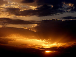 美轮美奂的手机壁纸，点亮生活的小确幸