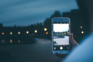 探索OPPO手机全系魅力,型号、图片与深度解析 探索OPPO手机全系魅力,型号、图片与深度解析