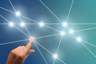 打造个人品牌，如何撰写令人印象深刻的优秀经历