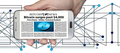 美国疫情数据透明度，疾控中心网站数据删除事件的影响与启示