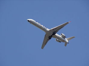 疫情动态更新，31省区市新增确诊7例，本土1例的解读与应对