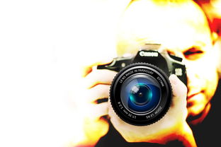 苹果15，价格、图片及购买指南