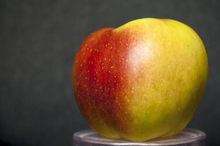 2024年3月,苹果产品发布预测与期待 2024年3月,苹果产品发布预测与期待