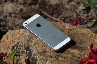 酷派5872，智能手机的性价比之选