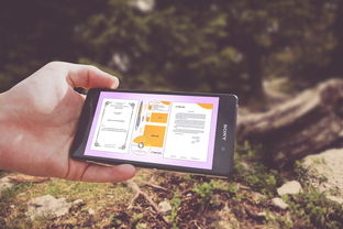 解锁未来科技感,Vivo X20 Plus屏幕指纹版的时尚生活与便捷革命 解锁未来科技感,Vivo X20 Plus屏幕指纹版的时尚生活与便捷革命