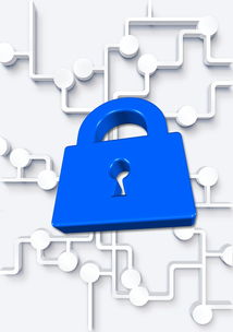 呼和浩特市疫情最新动态，数据解析与防控措施全览