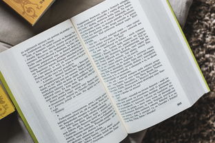 探索知识的宝藏，百科问答题游戏的趣味题目大揭秘