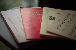 实践出真知,用词描绘经验的力量 实践出真知,用词描绘经验的力量