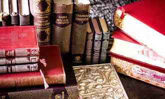 探索文化瑰宝，100个英语文章带你领略传统文化的魅力