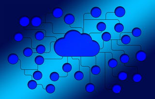 经验的双生花,近义词与反义词的微妙世界 经验的双生花,近义词与反义词的微妙世界