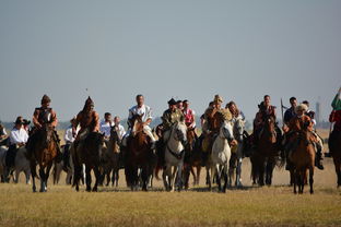 探索中华传统文化,提问与解答之旅 探索中华传统文化,提问与解答之旅