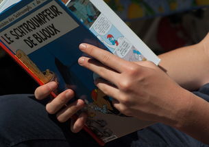 探索传统文化的宝藏，问答题及答案大全