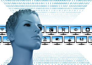 数字化浪潮中的瑰宝,传统文化APP用户深度分析 数字化浪潮中的瑰宝,传统文化APP用户深度分析