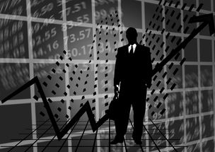 揭秘几千万工程背后的盈利真相，是金矿还是陷阱？