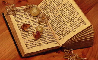 二年级拼音拼读全攻略，掌握基础，轻松学语文