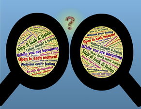 探索知识的迷宫,百科问题选择题及答案解析 探索知识的迷宫,百科问题选择题及答案解析