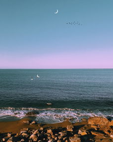 浦江，江南水乡的璀璨明珠