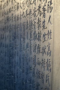 文化瑰宝的探索之旅,传统文化问答题及答案的奥秘 文化瑰宝的探索之旅,传统文化问答题及答案的奥秘