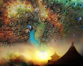 文化小侦探，探索中国传统文化的奇妙之旅